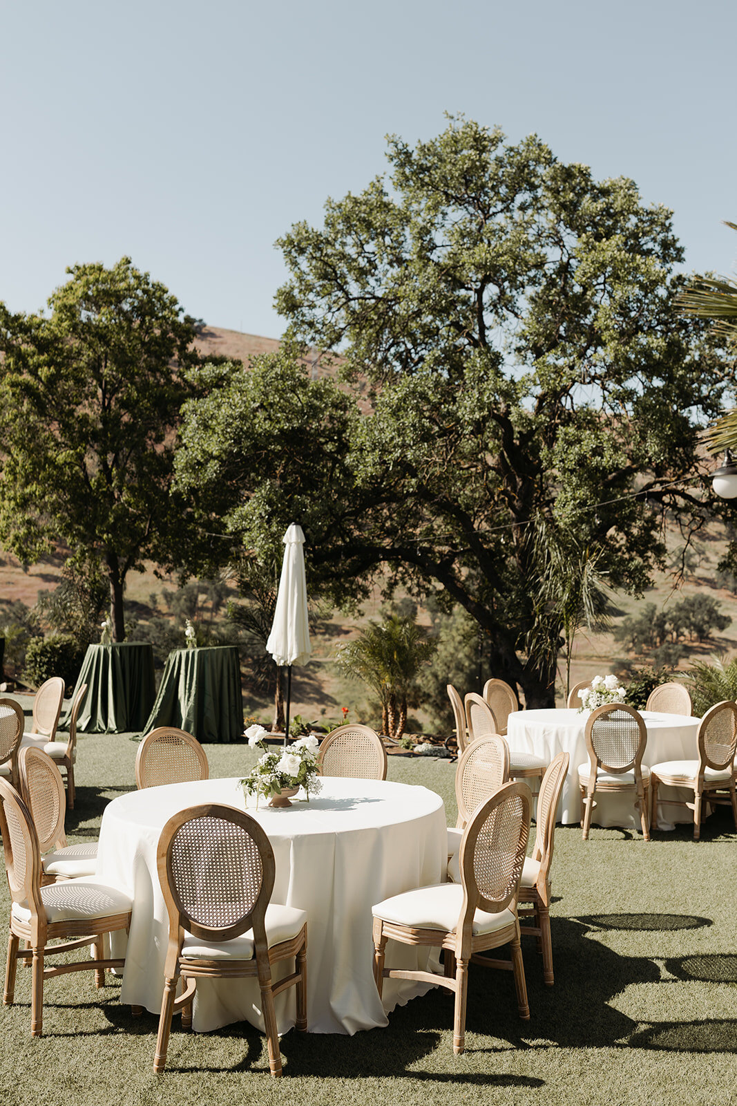 A reception of round tables set beneath a valley oak on the estate