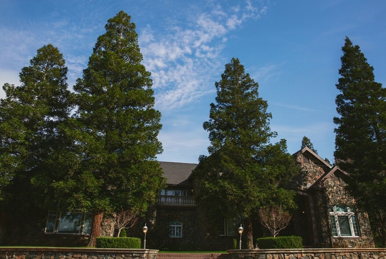 The stone residence framed by tall redwoods on the estate